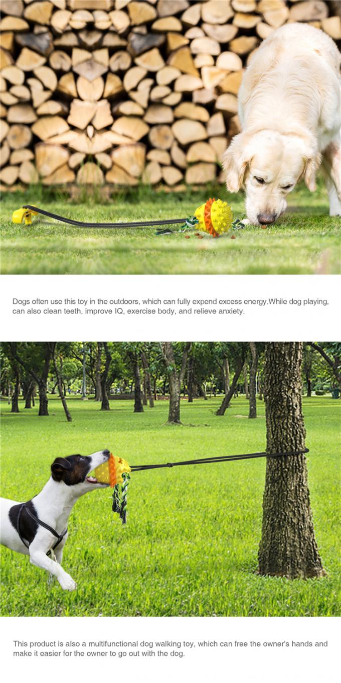 Хорошая конструированная собака воды игрушки любимца на открытом воздухе жуя шарик с шариком зуба собаки веревочки стопорного устройства очищая