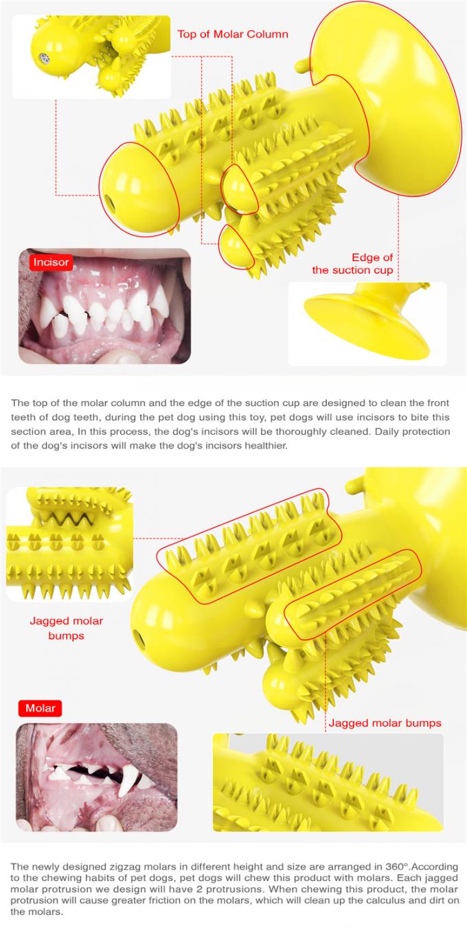 Игрушка укуса собаки зуба формы кактуса очищая с подгонянным обслуживанием