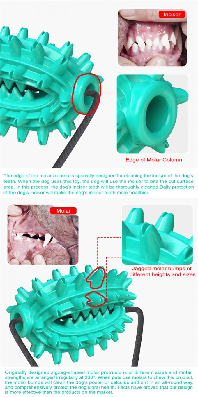 Изготовитель 2021 высококачественных зубов очищая игрушки зубной щетки собаки с эластичными взаимодействующими продуктами любимца игрушек