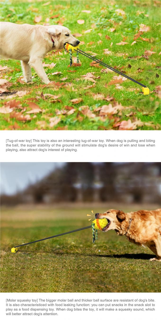 Хорошая конструированная собака воды игрушки любимца на открытом воздухе жуя шарик с шариком зуба собаки веревочки стопорного устройства очищая