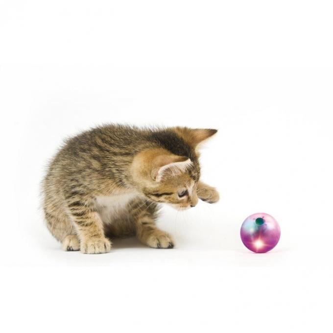 Дразнилка кота шарика завальцовки мигающего огня взаимодействующая забавляется неубедительный звук для игры кота