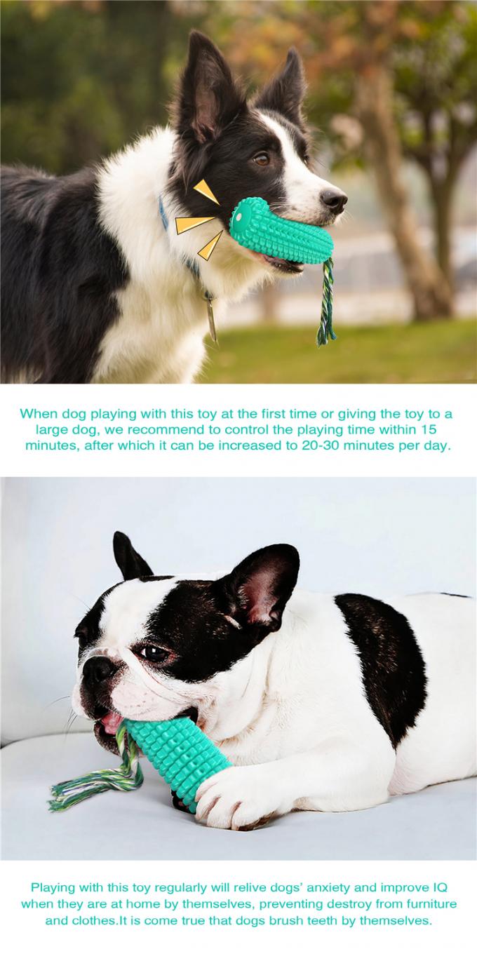 Игрушки мозоли жевания щенка игрушки жевания зубной щетки собаки с ядровым материалом Tpr выслеживают игрушку прочной веревочки взаимодействующую